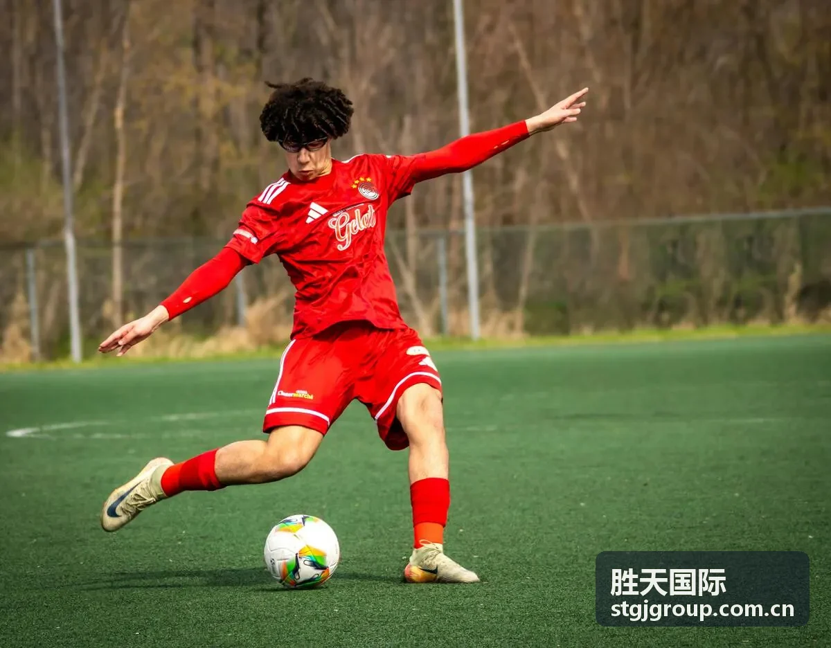 胜天国际合规风控框架